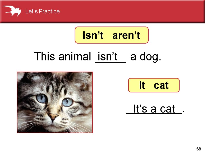 58 _________. isn’t It’s a cat This animal _____ a dog. isn’t  